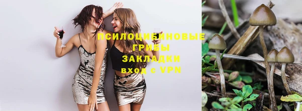 молекула духа Кущёвская