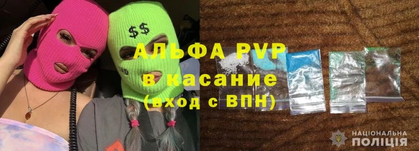 дмт Покачи