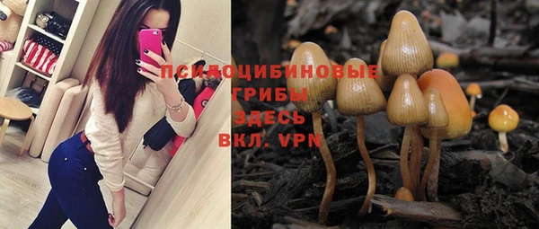 PSILOCYBIN Яранск