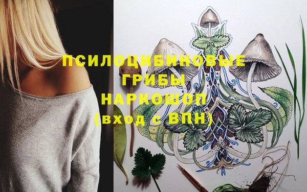 молекула духа Кущёвская