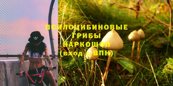 PSILOCYBIN Яранск