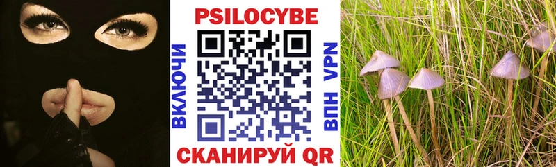 KRAKEN сайт Ардатов Псилоцибиновые грибы прущие грибы